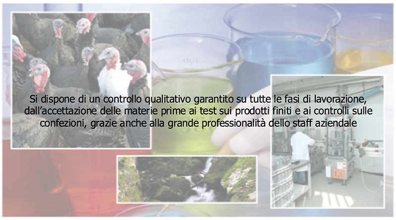 CHEMIFARMA S.P.A. SOC. CON SOCIO UNICO