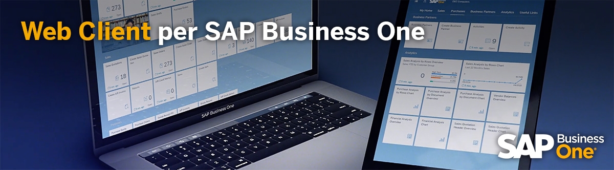 Il Web Client per SAP Business One combina le migliori funzionalit&agrave; di diversi mondi